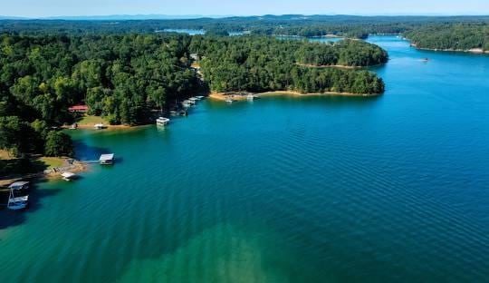 birds eye view of property featuring a water view and a wooded view