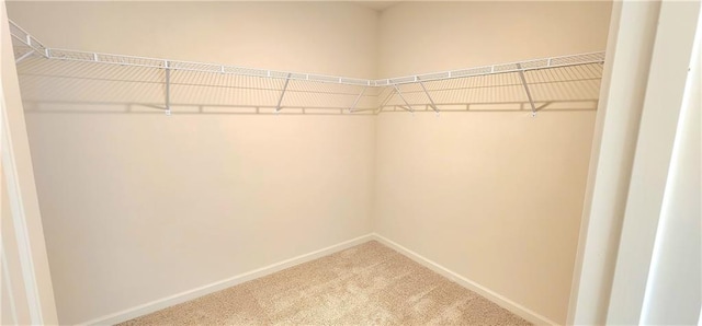 133 Wayside Ter, Braselton, GA 30517 - walk in closet featuring carpet flooring