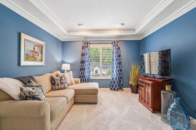 carpeted living area featuring ornamental molding and a raised ceiling