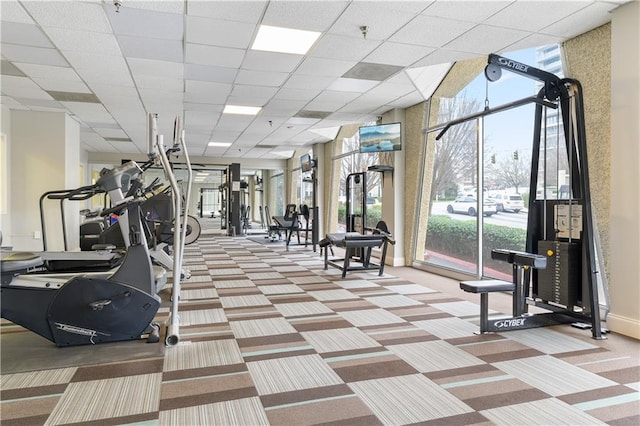 exercise room featuring carpet