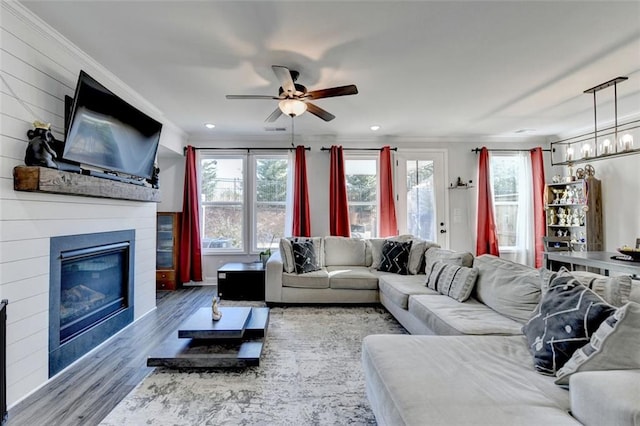 living room with ceiling fan, ornamental molding, and wood-type flooring