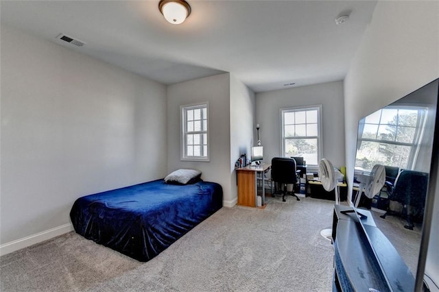 bedroom featuring multiple windows and carpet flooring