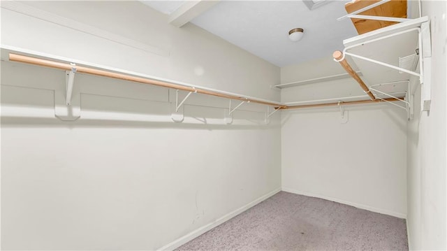 spacious closet featuring light carpet