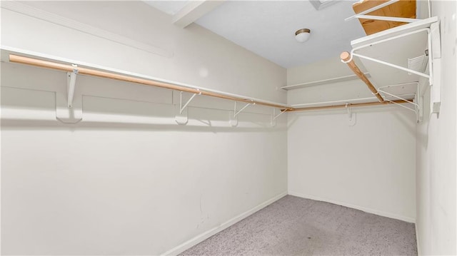 walk in closet with carpet floors