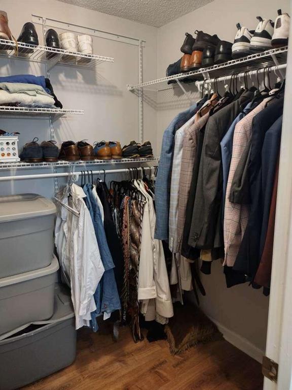 walk in closet featuring wood finished floors