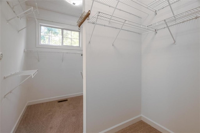 spacious closet featuring carpet flooring