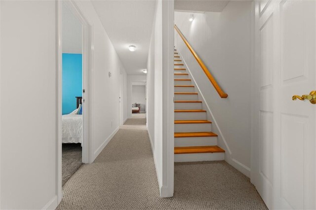 staircase with carpet flooring