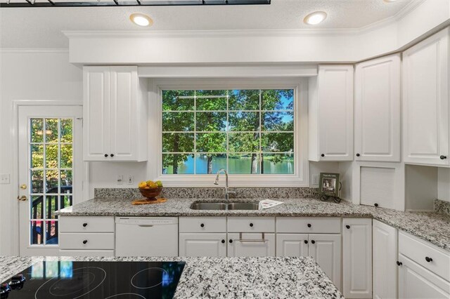 kitchen with white dishwasher, white cabinetry, and a wealth of natural light