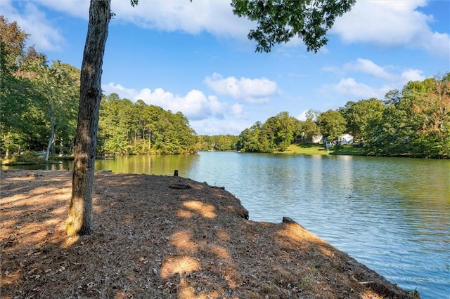 property view of water