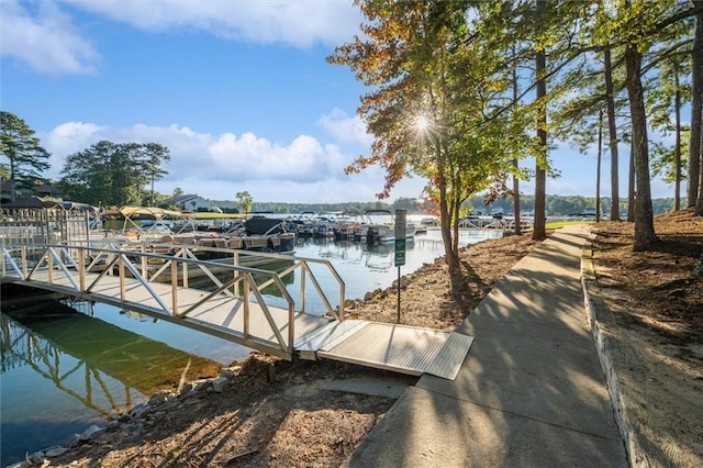 dock area with a water view