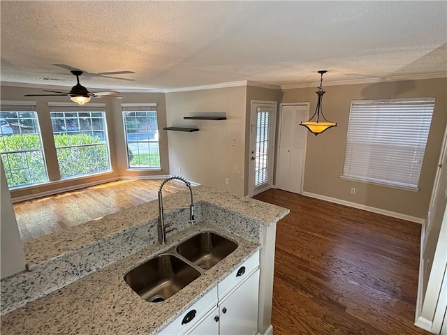 kitchen featuring sink, light stone counters, dark hardwood / wood-style floors, white cabinetry, and crown molding