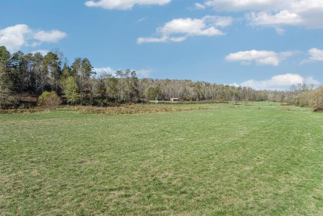 view of yard featuring a rural view