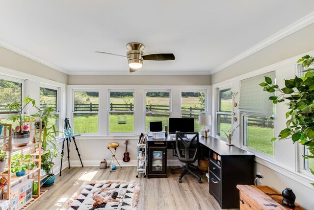 office with ceiling fan, crown molding, and light hardwood / wood-style flooring