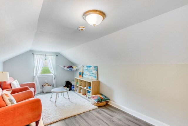 interior space featuring lofted ceiling and wood-type flooring