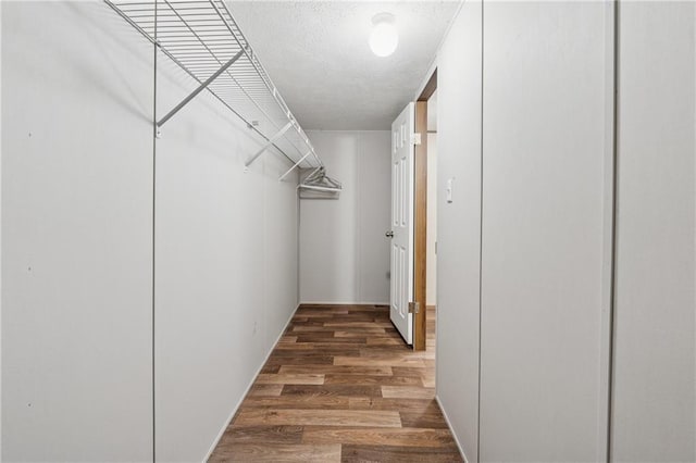 walk in closet with wood finished floors