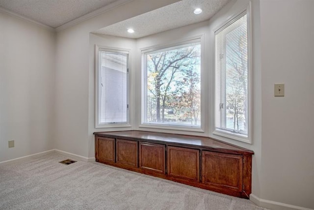 interior space with ornamental molding and a textured ceiling