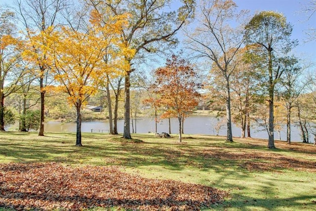 view of yard with a water view