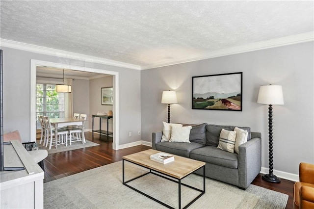 living room featuring dark hardwood / wood-style floors, crown molding, and a textured ceiling