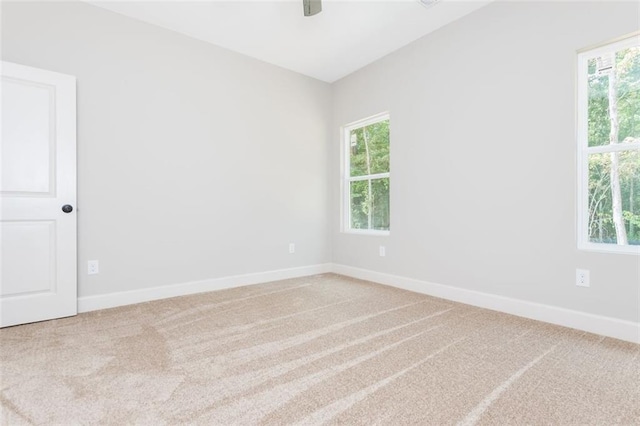 unfurnished room with baseboards, carpet floors, and a ceiling fan