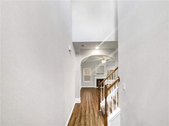 hall with dark wood-type flooring