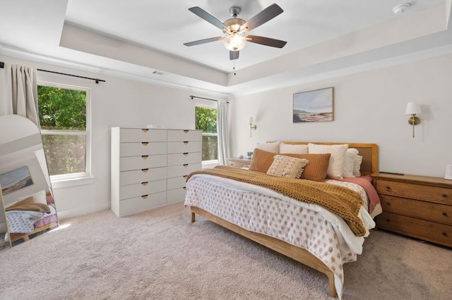 178 Crestbrook Way, Dallas, GA 30157 - bedroom with a raised ceiling, carpet floors, and ceiling fan