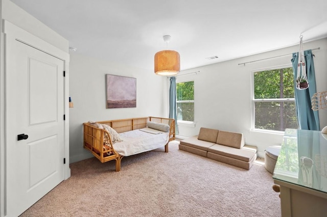178 Crestbrook Way, Dallas, GA 30157 - view of carpeted living area