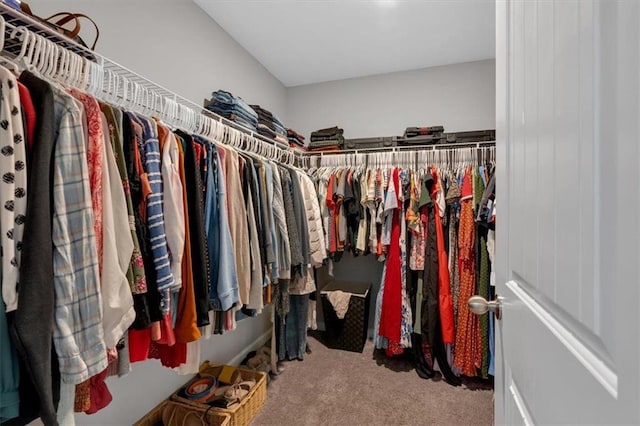 walk in closet with carpet