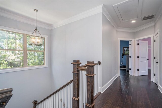 corridor with crown molding and dark wood-type flooring