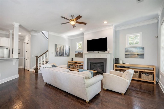 living room with ceiling fan, dark hardwood / wood-style floors, and ornamental molding