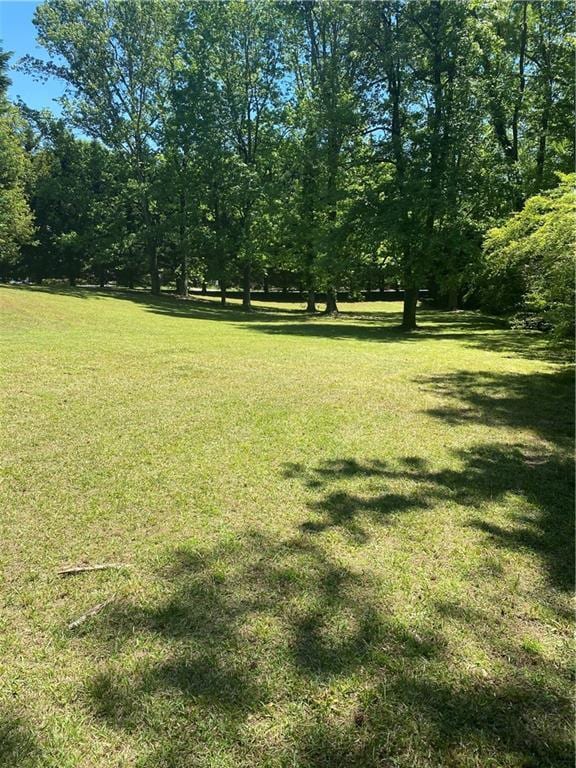 1173 Jimson Cir SE, Conyers, GA 30013 - view of green lawn