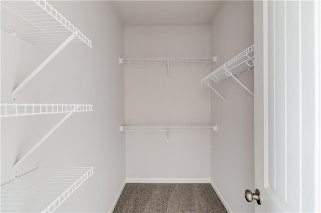 walk in closet with carpet