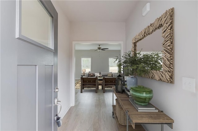 foyer featuring ceiling fan and wood-type flooring