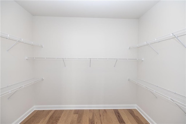 walk in closet featuring hardwood / wood-style flooring