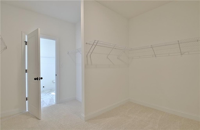 spacious closet featuring light colored carpet