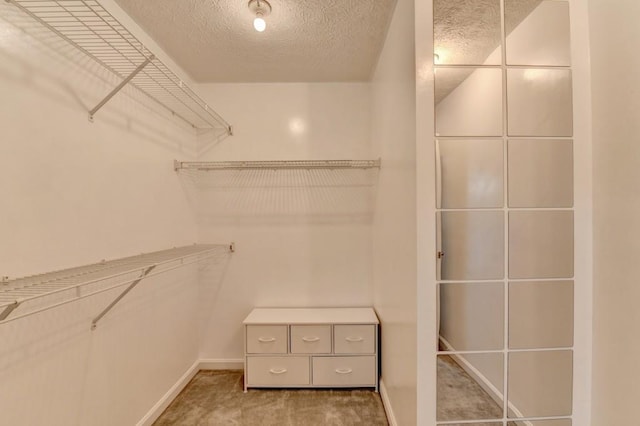 spacious closet with carpet flooring