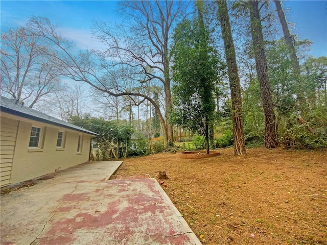 view of yard featuring a patio area