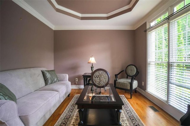 living room with ornamental molding, light hardwood / wood-style flooring, and a raised ceiling