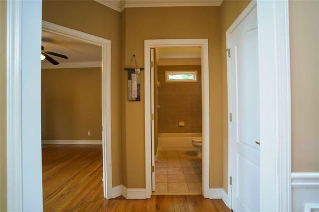 hall featuring light hardwood / wood-style flooring and crown molding