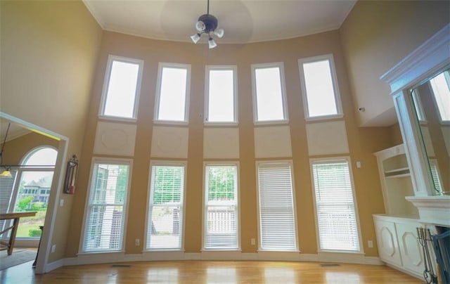 entryway with a wealth of natural light and a towering ceiling