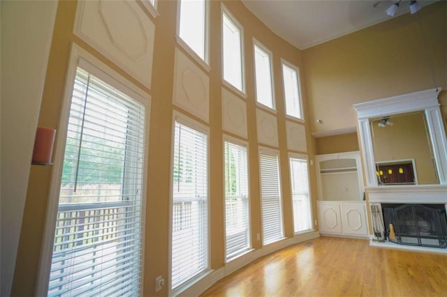 interior space featuring a high ceiling and light wood-type flooring