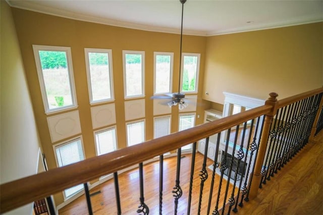 staircase featuring ornamental molding, hardwood / wood-style flooring, and ceiling fan