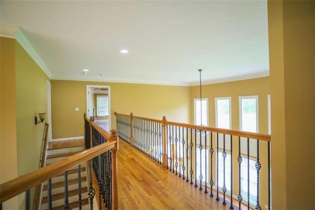 hall featuring crown molding and light wood-type flooring