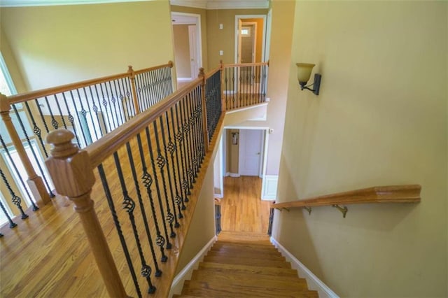 stairway with wood-type flooring