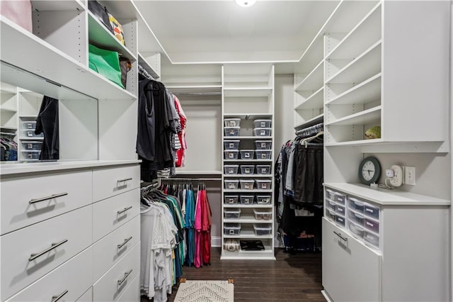 297 Cobblestone Trl, Dallas, GA 30132 - walk in closet featuring dark wood-style floors