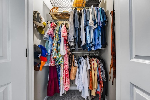 spacious closet featuring carpet floors