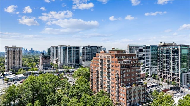 3180 Mathieson Dr NE Unit 1001, Atlanta, GA 30305 - city view