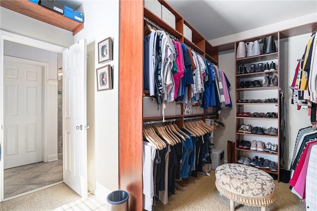 view of spacious closet