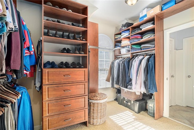 spacious closet featuring carpet flooring