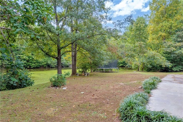 168 Silver Fox Dr, Dawsonville, GA 30534 - view of green lawn with a trampoline