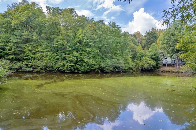 168 Silver Fox Dr, Dawsonville, GA 30534 - water view featuring a local golf course